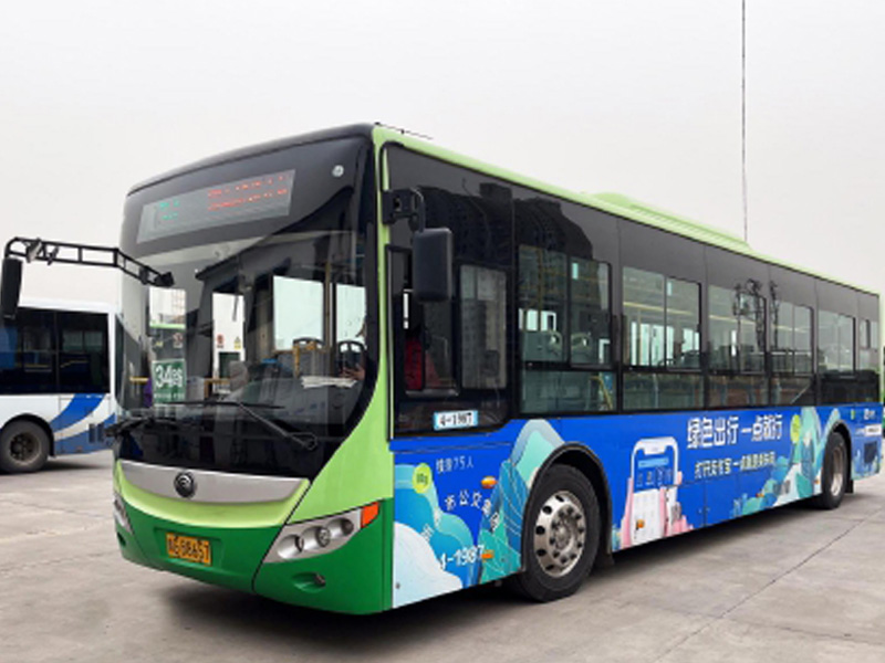 標(biāo)準(zhǔn)版